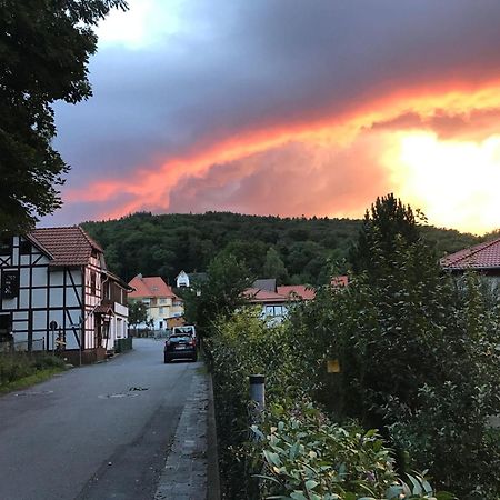 Ferienwohnung-Willgeroth Ilsenburg Exterior foto